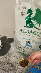 Aldagon Adult Mini - Hrană completă cu somon