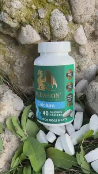 Calciu pentru Câini și Pisici - Supliment Esențial pentru Creștere și Metabolism