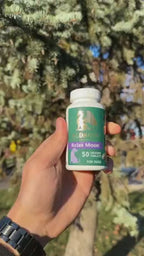 Relax Moon pentru câini și pisici - Relaxare și alinare pentru cei mai buni prieteni ai tăi