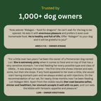Aldagon VIP - Grain-Free Complete Food for Dogs