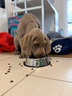 Aldagon Junior - Complete Food for Growing Dogs