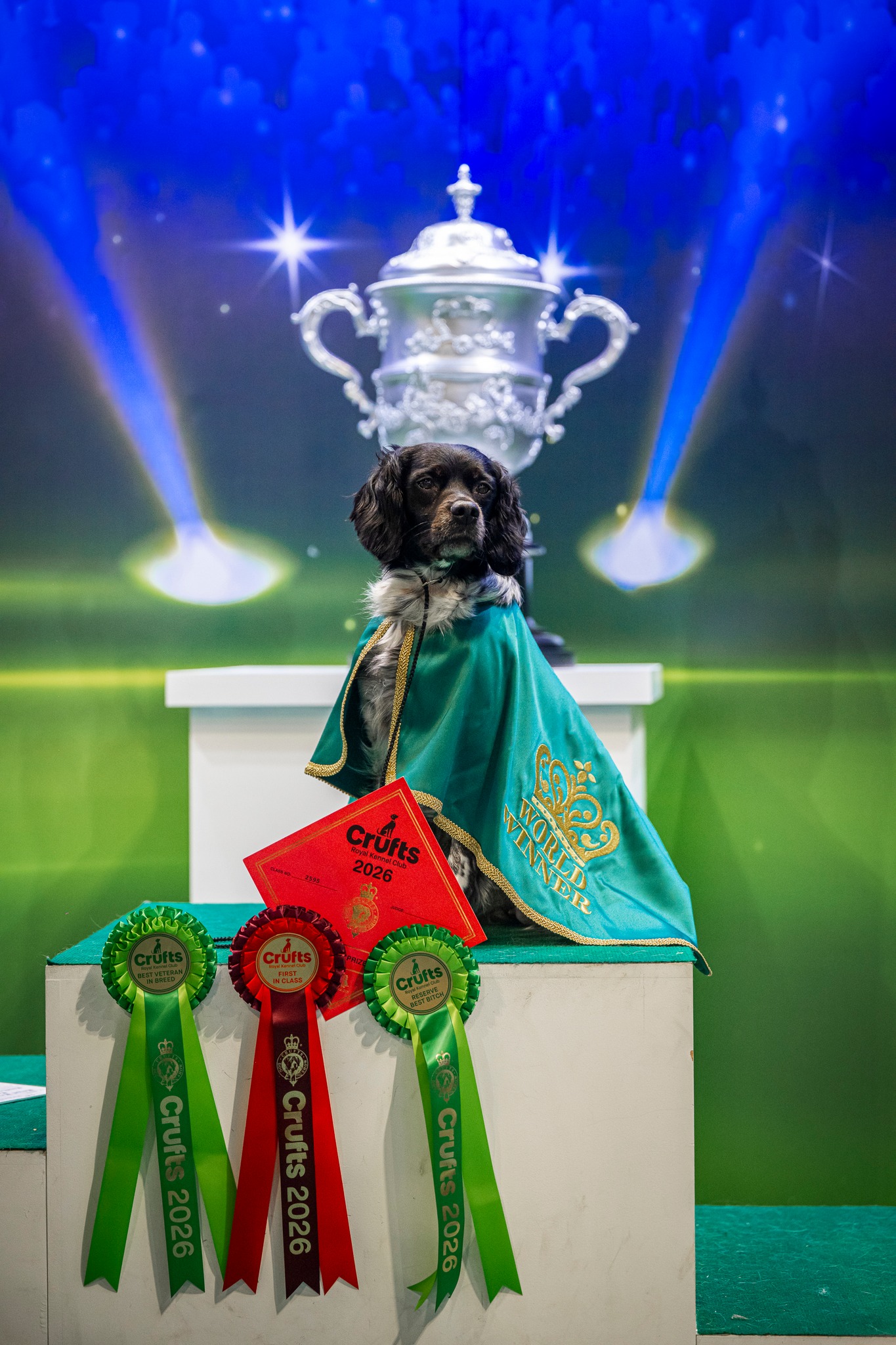 Malicia Champion